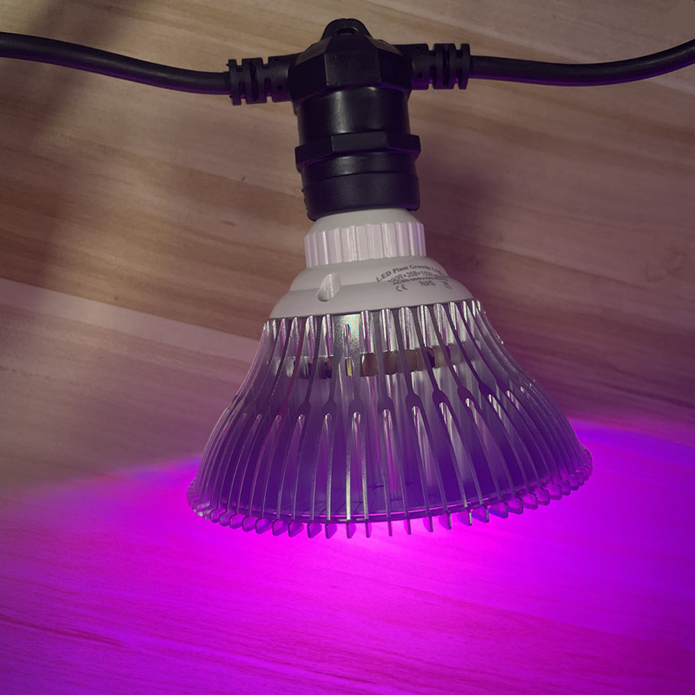 10M Cable LED String Commercia - Outdoor Power Socket recension och pris